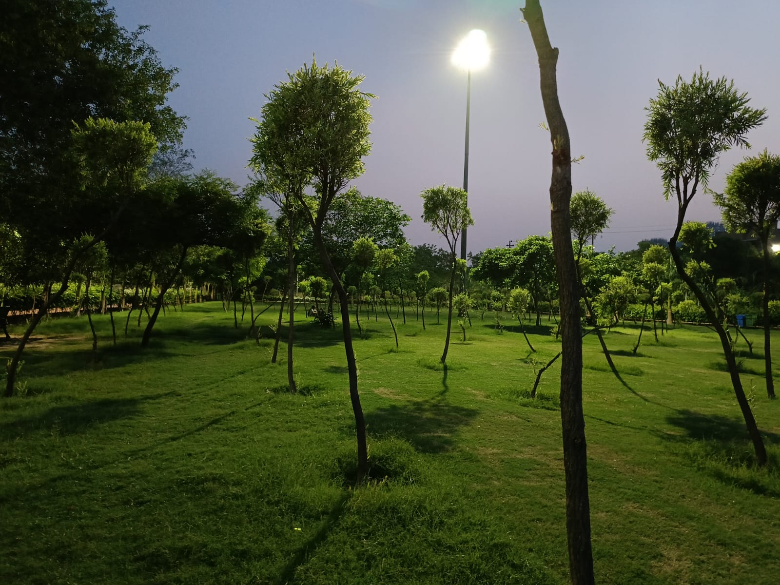 Green View Apartment : 1BHK Semi Furnished Flat For Rent in Sector 99, Noida