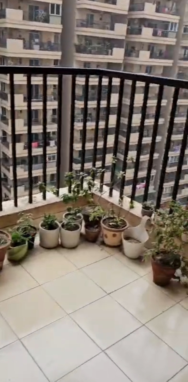 14th Avenue : 2 BHK Semi Furnished Flat For Sell in Gaur City 2, Noida Extension