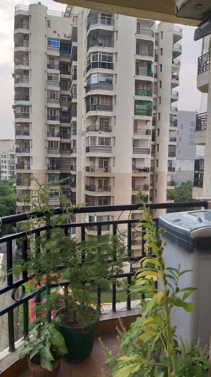 Gardenia Grace : 2 BHK Semi Furnished flat for rent in Sector 61, Noida 