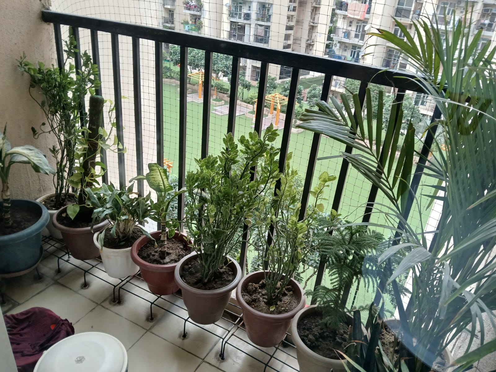 5th Avenue : 2BHK Semi Furnished Flat For Rent in Gaur City  1, Noida Extesion 