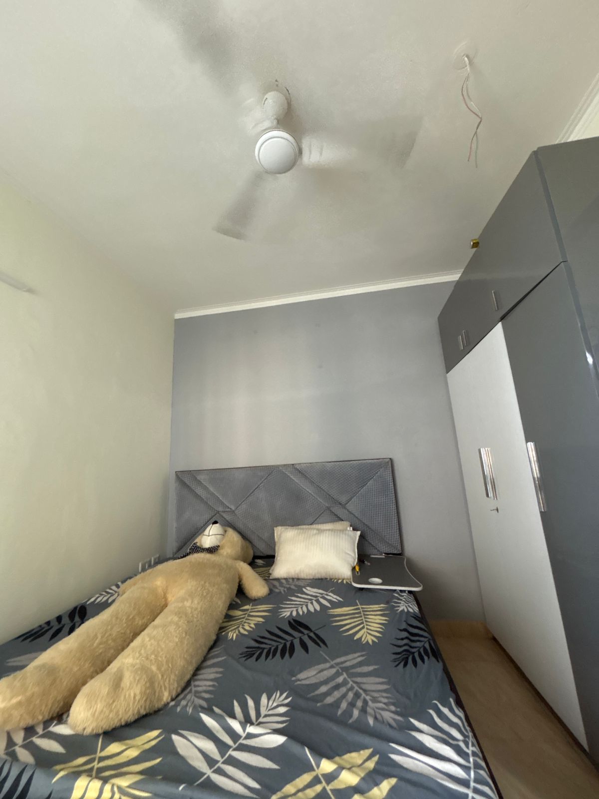 7th Avenue : 1 Room in Preoccupied  2BHK Fully Furnished Flat For Rent in Gaur City  1, Noida Extesion