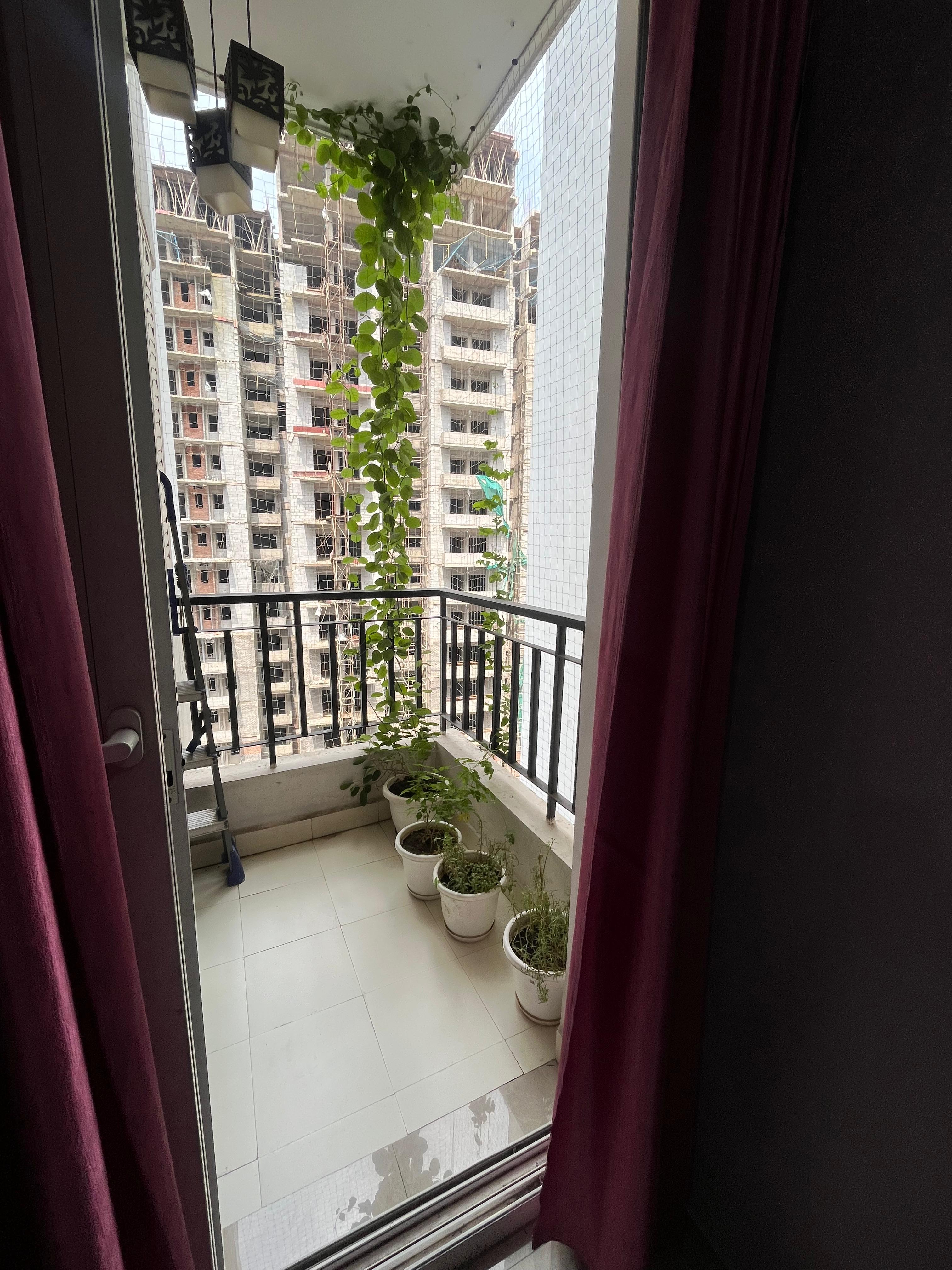 Ace City : 2BHK Fully Furnished Flat For Sell in Sector 1, Noida Extension, Bisrakh Jalalpur
