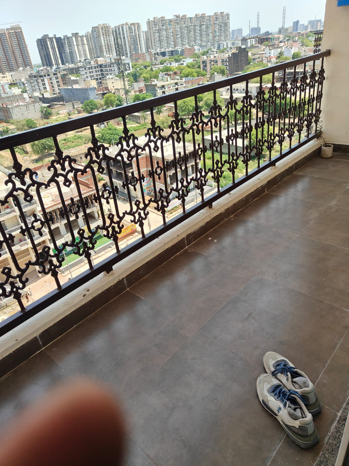 Ace Divino : 2 BHK Fully Furnished Flat For Rent in Sector 1, Noida Extension, Bisrakh Jalalpur 