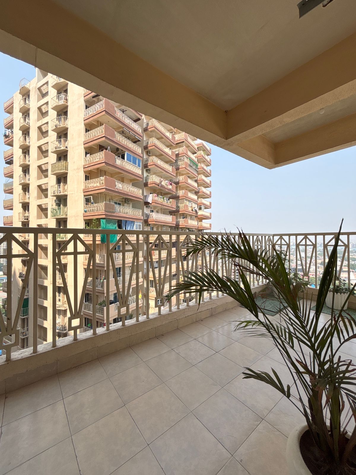 7th Avenue : 1 Room in Preoccupied  2BHK Fully Furnished Flat For Rent in Gaur City  1, Noida Extesion