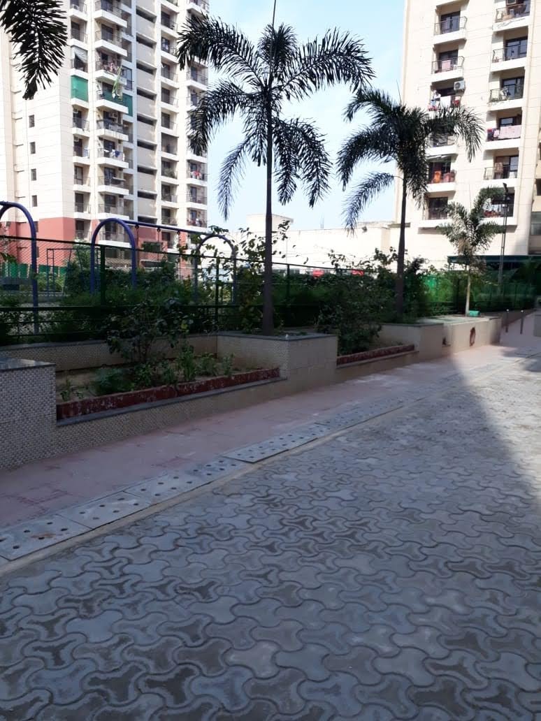 Ajnara Grand Homes : 2BHK Semi Furnished Flat For Rent in Sector 74, Noida 