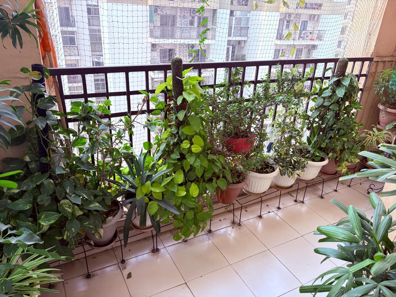 Ajnara Le Garden : 2BHK Semi Furnished Flat For Sell in Sector 16B, Noida Extension