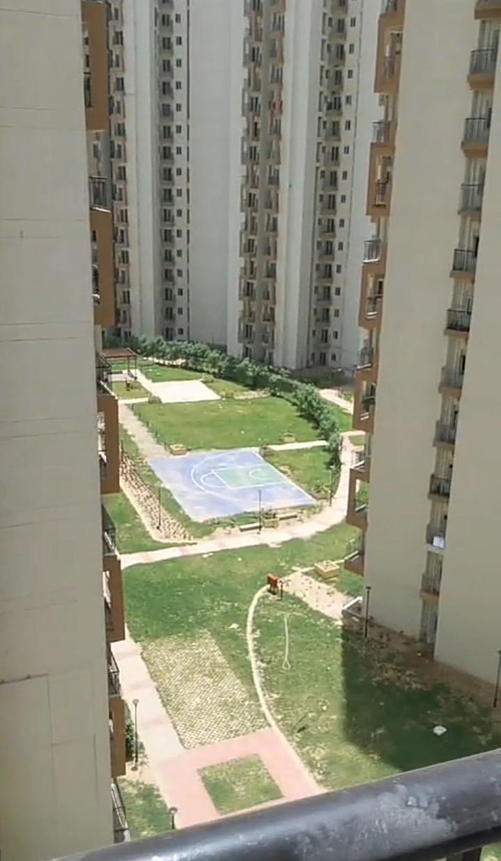 Amrapali Dream Valley : 3 BHK Semi Furnished Flat For Rent in TechZone 4, Noida Extension 