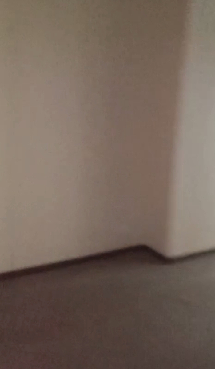 Amrapali Dream Valley  : 2 BHK UnFurnished Flat For Rent in TechZone 4, Noida Extension