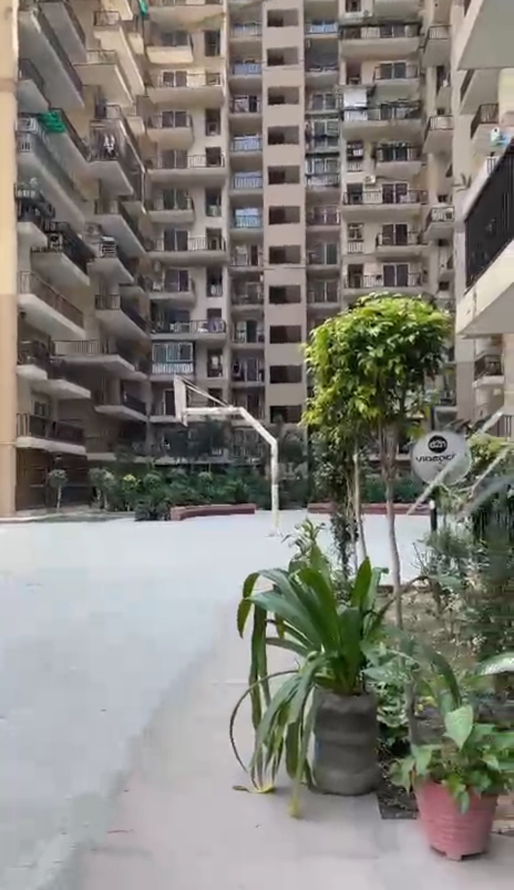 Amrapali La Residentia : 3 BHK Semi Furnished Flat For Rent in TechZone 4, Noida Extension