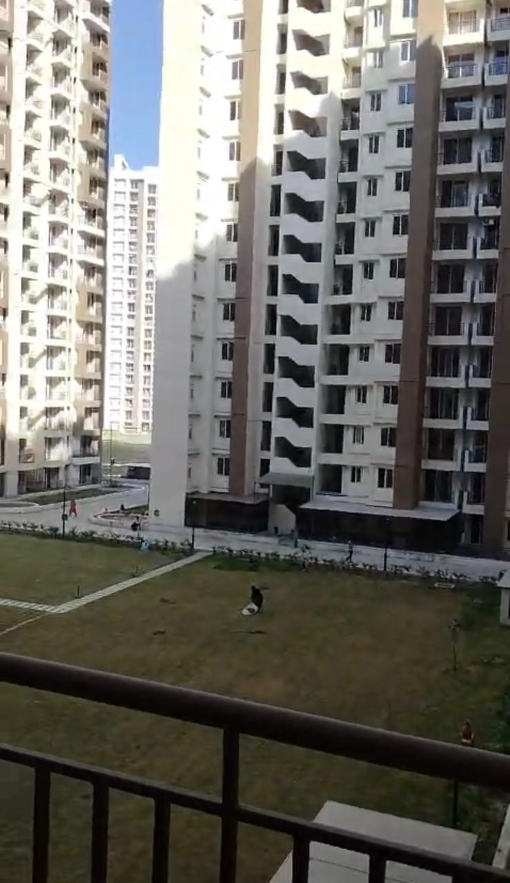 Amrapali Golf Homes : 2BHK Semi Furnished Flat For Sell in Sector 4, Noida Extension