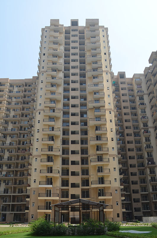 Amrapali La Residentia : 1 Room in Fully Furnished Preoccupied Flat For Rent in Tech-zone 4, Noida Extension
