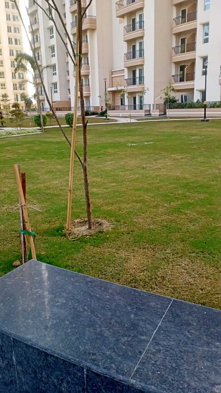 CRC Sublimis: 2 BHK for sale in Sector 1, Noida Extension