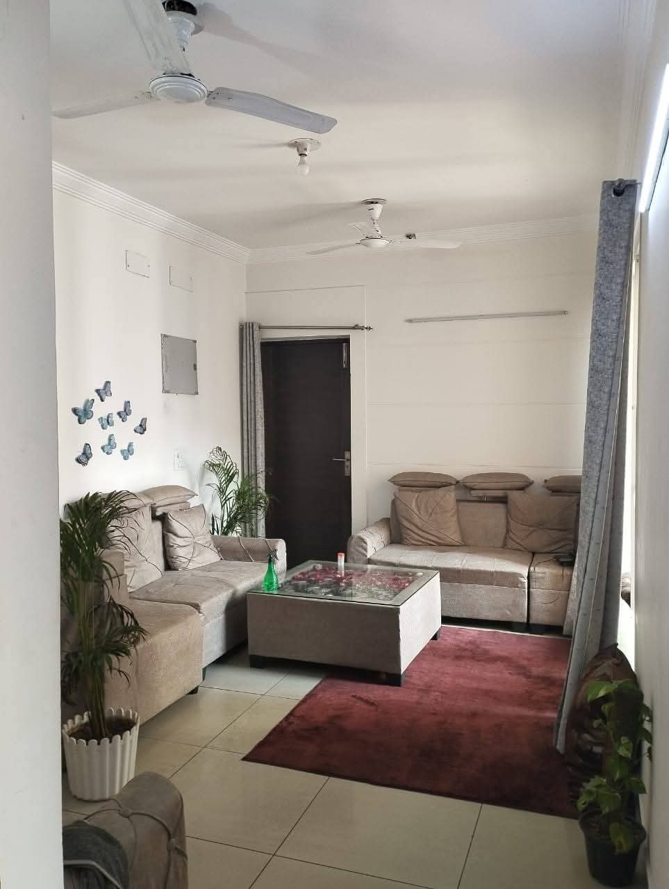 Exotica Dreamville : 2 BHK Fully Furnished flat for rent in Sector 16C, Noida Extension
