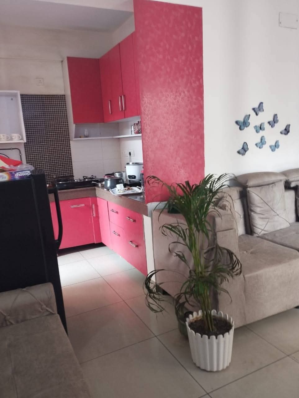 Exotica Dreamville : 2 BHK Fully Furnished flat for rent in Sector 16C, Noida Extension