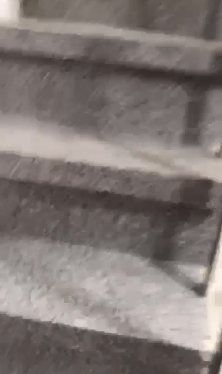 Gaur City Center : Fully Furnished Office For Rent in Sector 4, Noida Extension