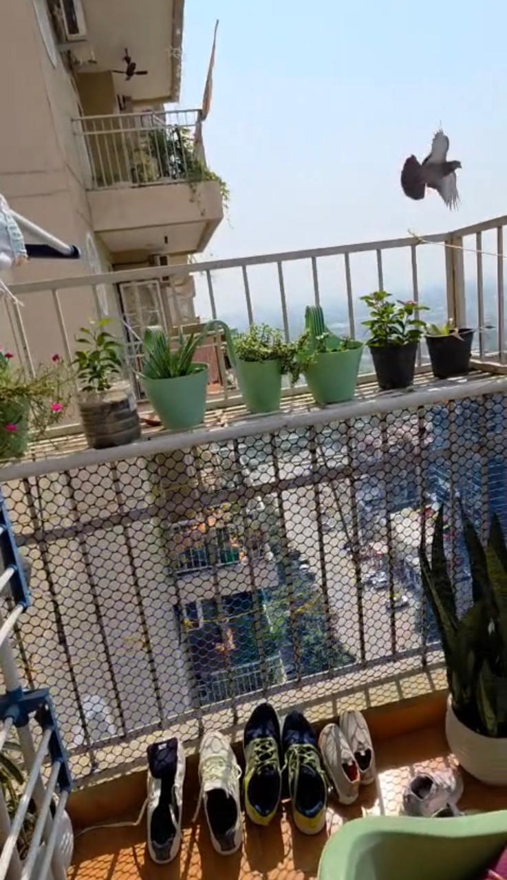 Habitech Panchtatva : 2BHK Semi Furnished Flat For Sell in TechZone 4, Noida Extension