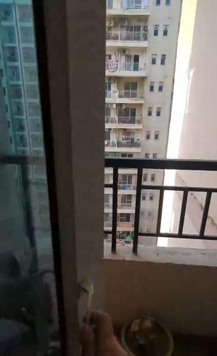 JKG Palm Court : 3 BHK Semi Furnished Flat For Rent in Gaur City  1, Noida Extension