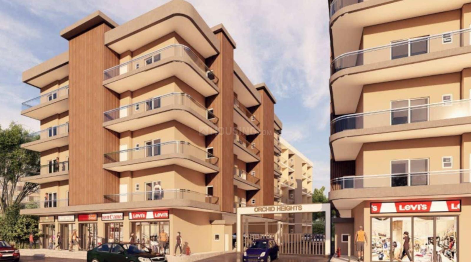 Orchid Heights : 2BHK Semi Furnished Flat For Rent in Sector 1, Noida Extension, Bisrakh Jalalpur 