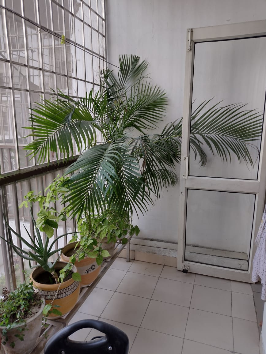 Panchsheel Greens 1 : 4BHK Semi Furnished Flat For Sell in Sector 16B, Noida Extension