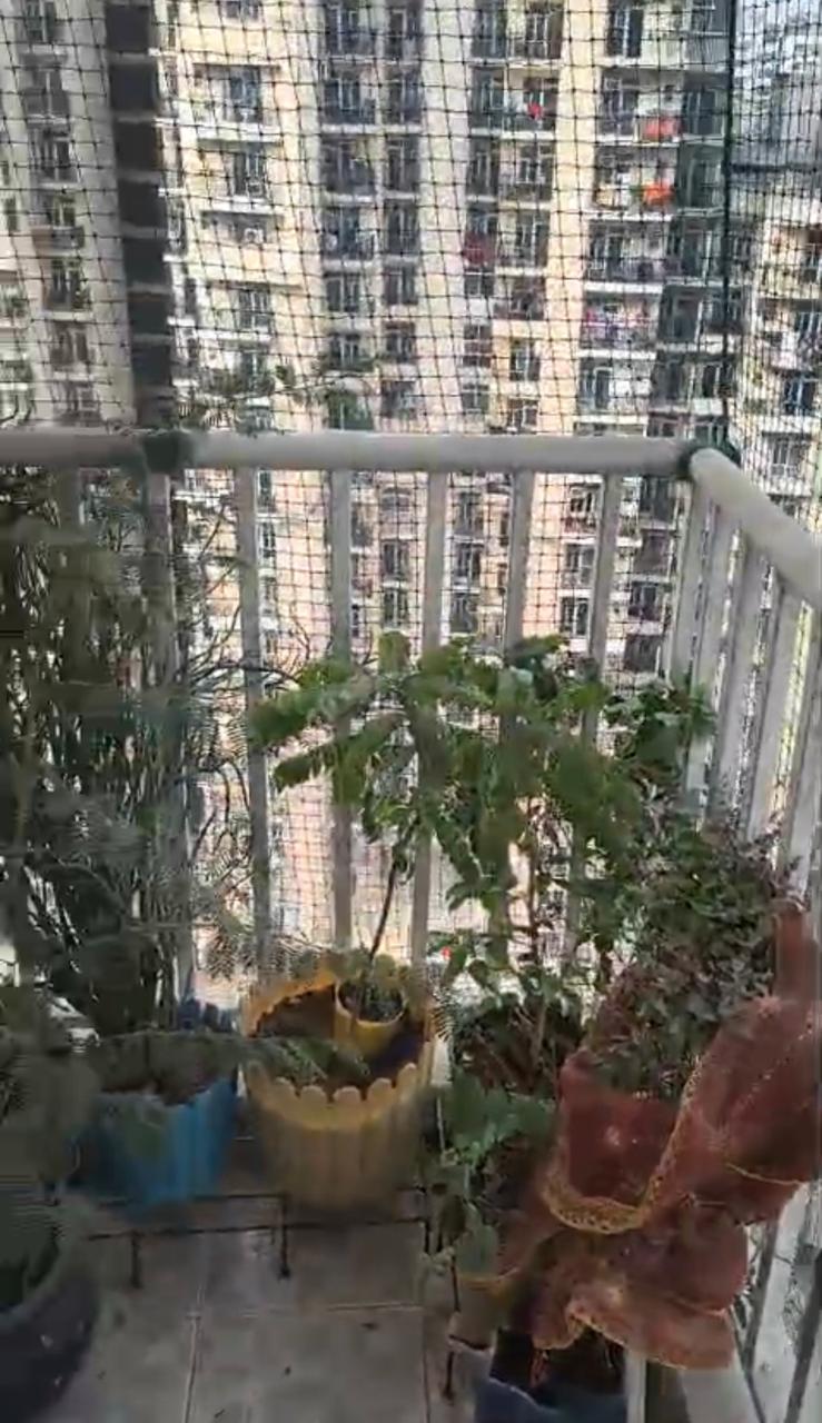 Saya Zion : 2BHK + Study Semi Furnished Flat For Rent in Gaur City  1, Noida Extension