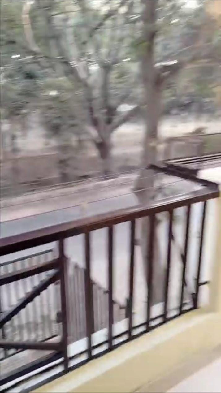 Sector 1, Vasundhara : 2BHK Fully Furnished Flat For Rent in Vasundhara, Ghaziabad 