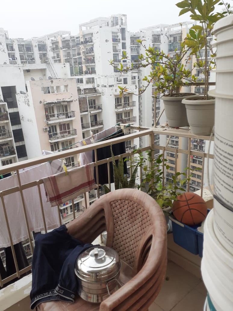 Supertech Eco Village II : 2BHK Fully Furnished Flat For Rent in Sector 16B, Noida Extension 