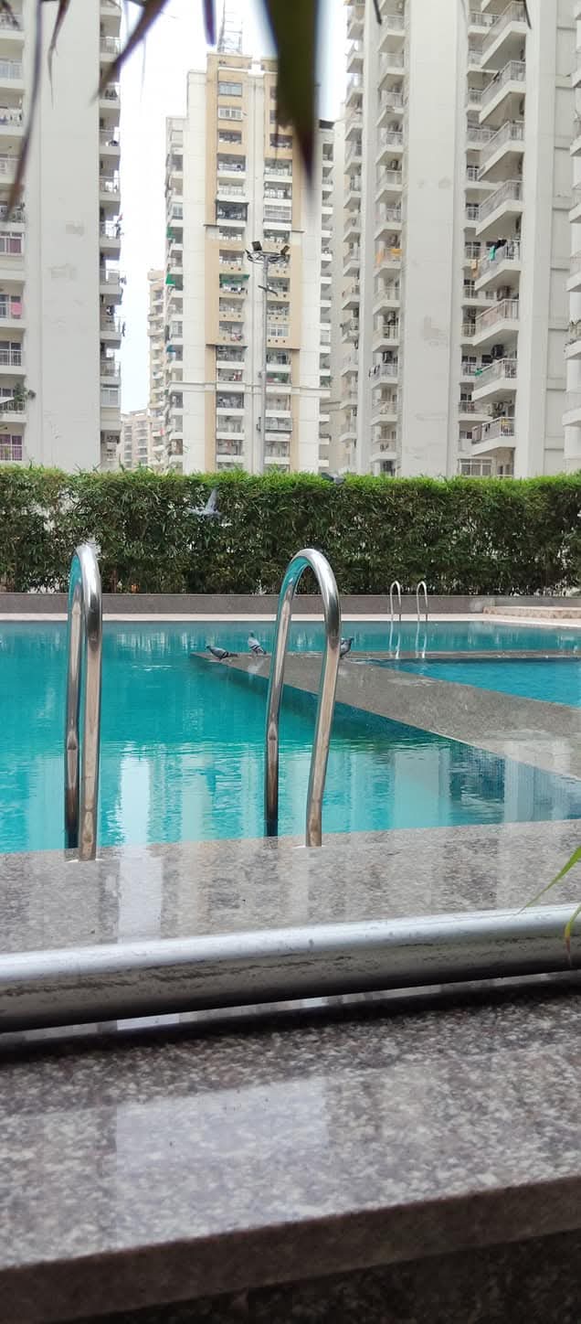 VVIP Homes : 2 BHK Semi-furnished Flat for rent in Gaur City 2, Noida Extension