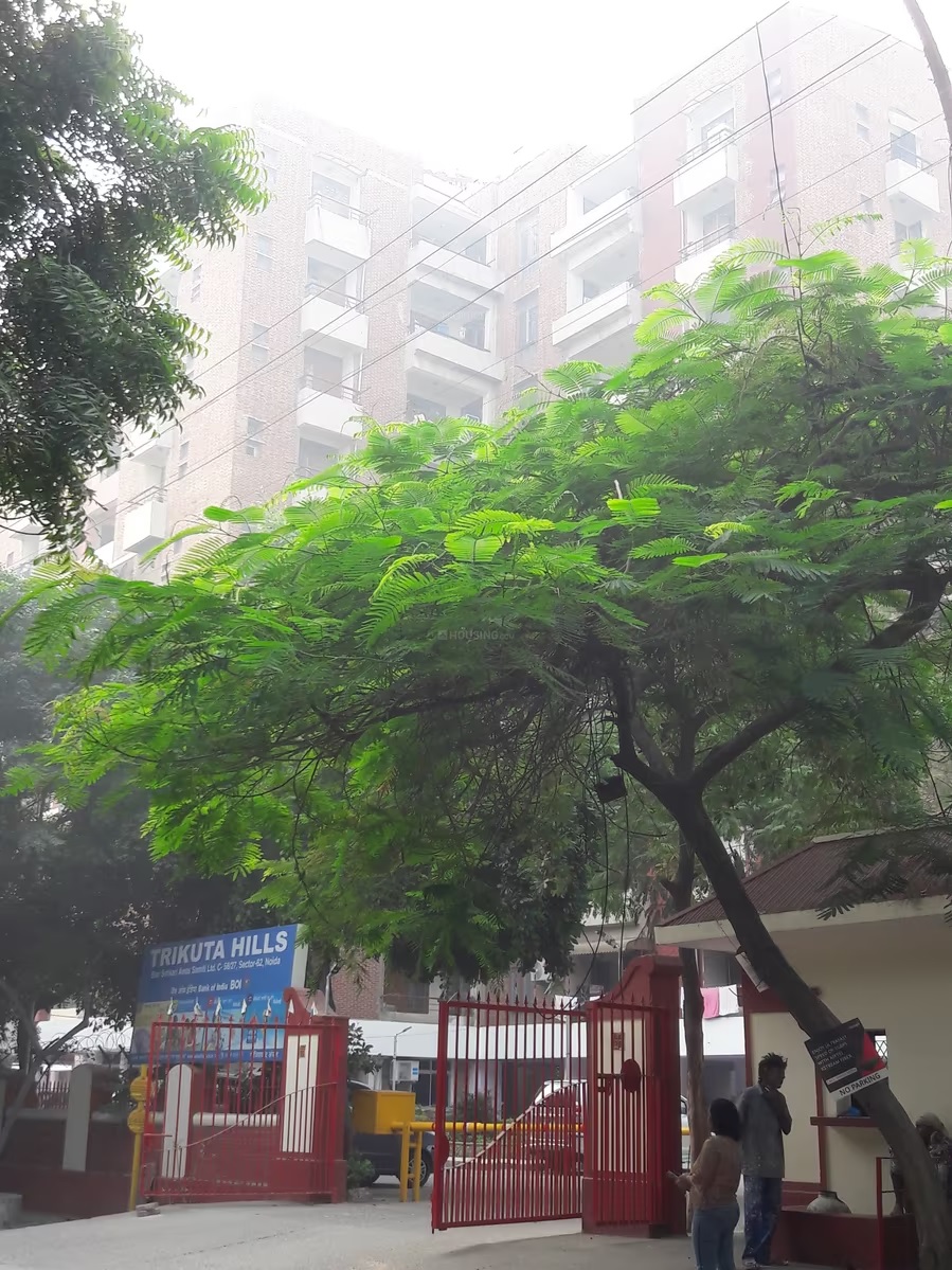 Trikuta Hills, Sector 62, Noida Society Image 1 