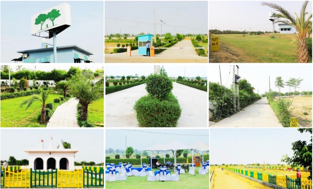 Harit Homes Residential Plots, TechZone 4, Noida Extension Society Image 2