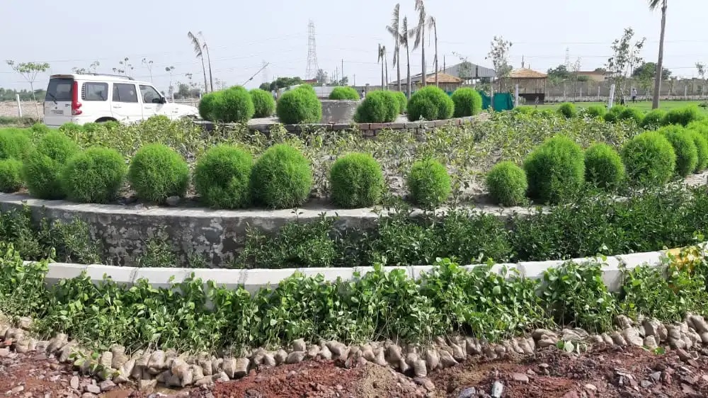 Land Science The Lake Countryside Farms, Near Jewar Airport, Greater Noida Society Image 1 