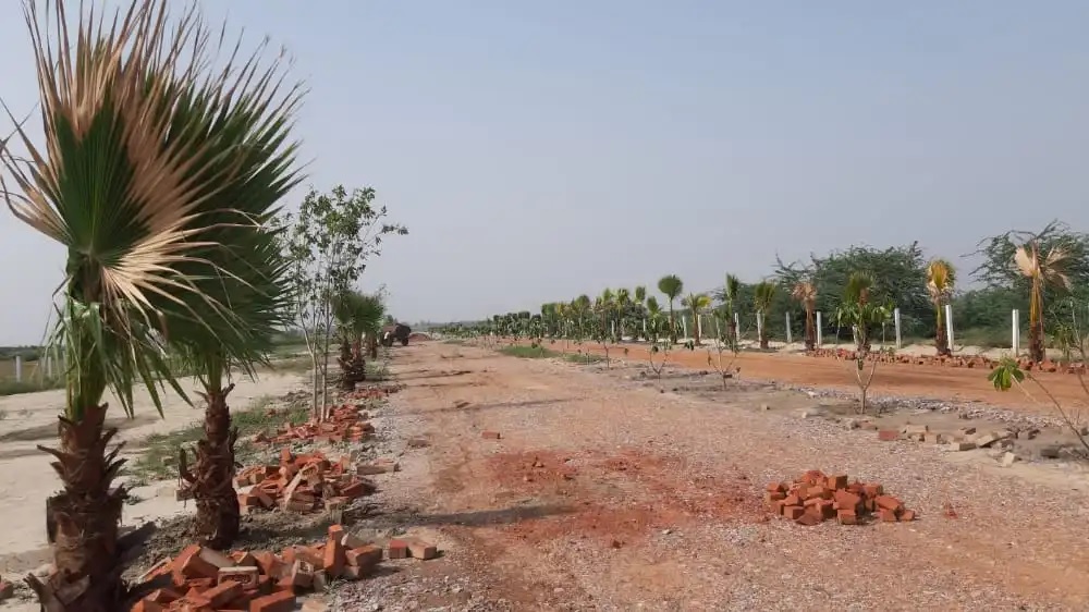 Land Science The Lake Countryside Farms, Near Jewar Airport, Greater Noida Society Image 3