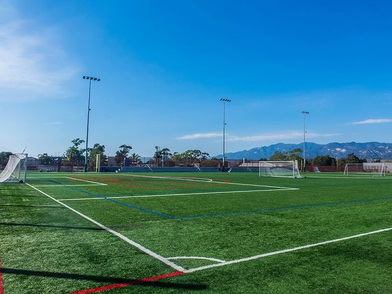 Rise Resort Residences, TechZone 4, Noida Extension Society Image 3