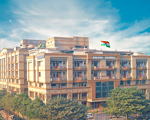 Near Jewar Airport, Greater Noida Society Image 1 