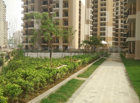 Exotica Dreamville, Sector 16C, Noida Extension Society Image 6