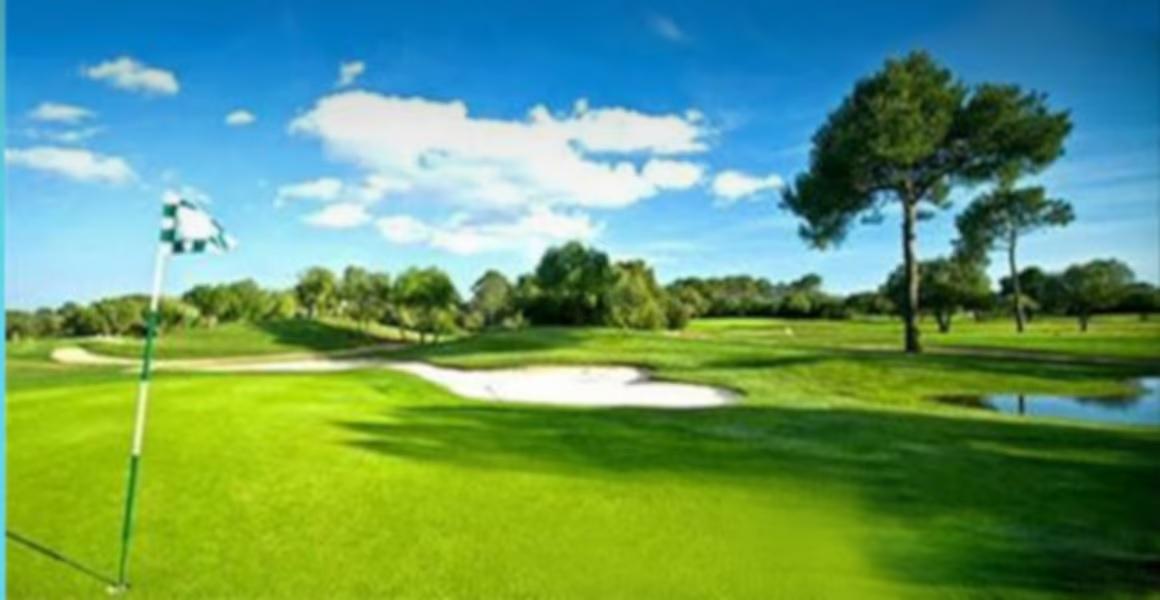 Jaypee Greens Country Homes 2, Sector 25, Yamuna Express Way Society Image 1 