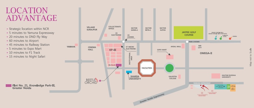 Beetle Orchid, Knowledge Park 3, Greater Noida Location Map