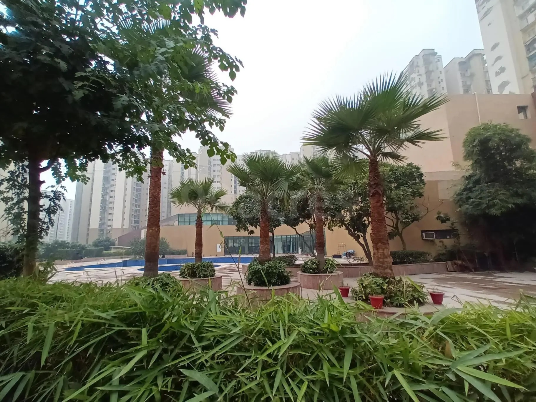 Paras Tierea, Sector 137, Noida Society Image 2