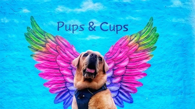 Sector 72, Noida, Noida Society Image 1 